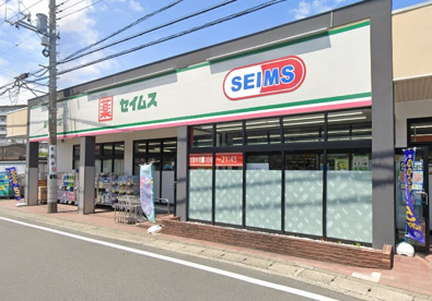 ドラッグセイムスの画像1