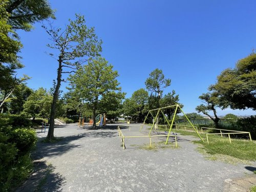 の画像