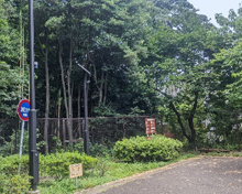 公園 世田谷区立峰松緑地