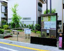 公園 若林なつつばき公園