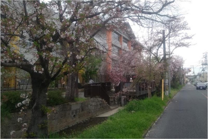 大阪府立 山本高等学校の画像1