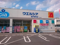 ウエルシア坂戸柳町店