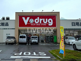 V・drug 瑠璃光店