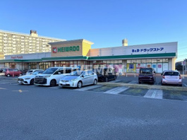 B&Dドラッグストア 平和堂豊成店