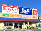 ドラッグストア B&Dドラッグストア 岩塚店