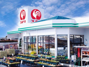 コメリハード&グリーン秋田湯沢店の画像1