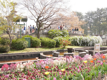鶴舞公園の画像1