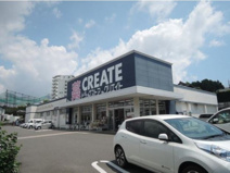 クリエイトSD(エス・ディー) 海老名杉久保店