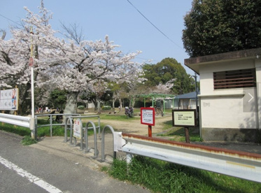 今宮公園の画像1