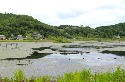 深泥ヶ池公園の画像3
