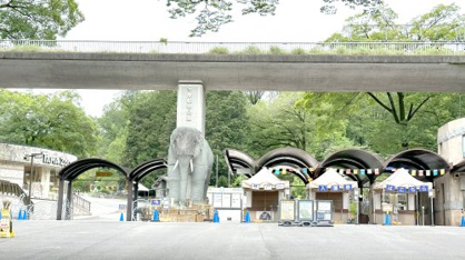 多摩動物公園の画像1