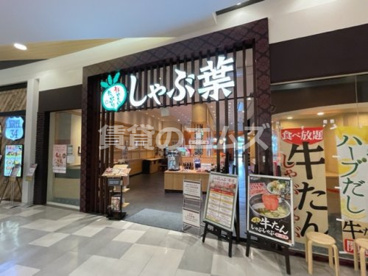 しゃぶ葉 イオンモール福岡店 しゃぶ葉 イオンモール福岡店の画像1