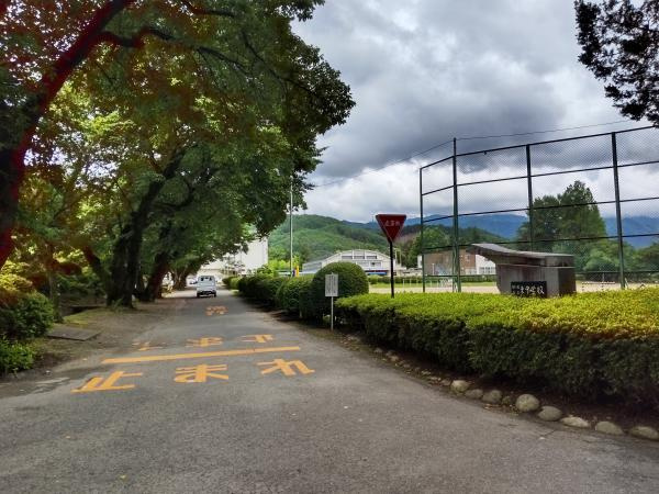 の画像