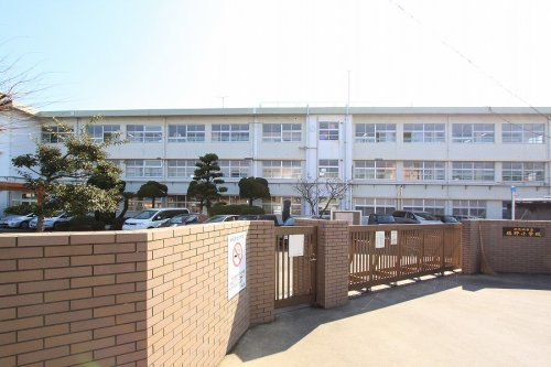 の画像