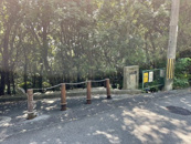 山王緑地