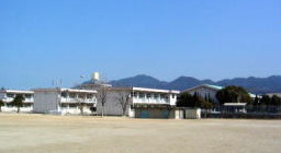 の画像