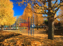 みずほ台中央公園