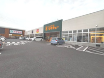 セキチュー藤岡インター店