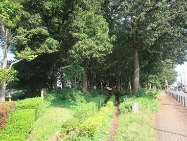 史跡公園の画像1
