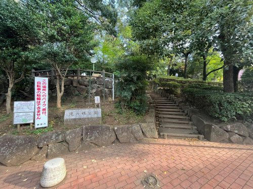 の画像
