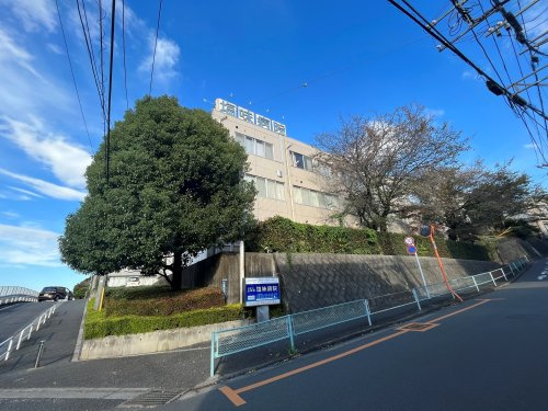 の画像