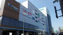  Corowa甲子園