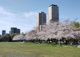 難波宮跡公園の画像