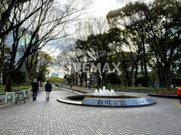 白川公園