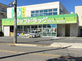 Zipドラッグ白沢 権現通店