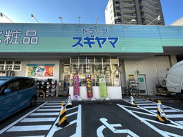 ドラッグスギヤマ 仲田店