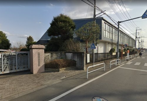 の画像
