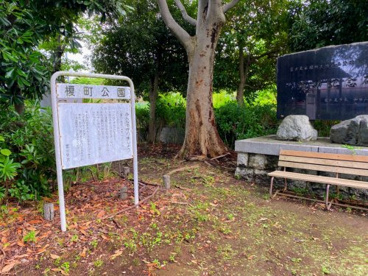 富士見市/榎町公園の画像2