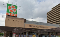 ライフ鶴見今津北店