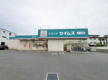 ドラッグセイムス 新座新堀店