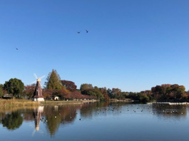 浮間公園