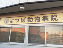 よつば動物病院