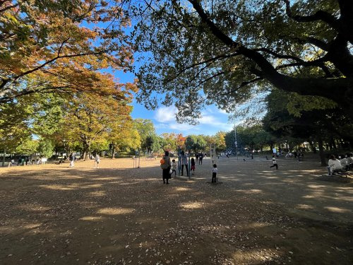 青葉台公園の画像
