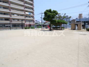 東那珂公園の画像4