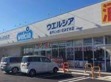 ウエルシア坂戸にっさい花みず木店の画像1