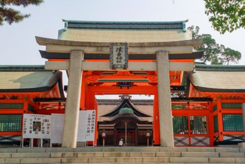 の画像