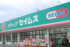 ドラッグセイムス