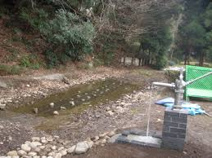 小糸台公園
