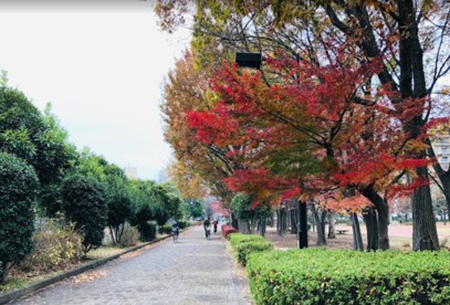都立東大和南公園の画像1