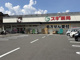 スギ薬局 山ノ内店の画像
