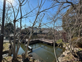 白幡池公園