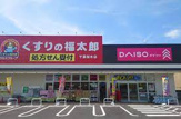 ダイソー　くすりの福太郎千葉桜木店