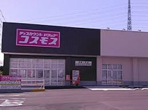 ディスカウントドラッグコスモス 鴻巣人形店