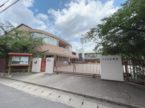 さくら幼稚園の画像
