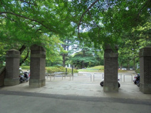 松戸中央公園