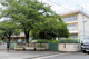 練馬区立大泉学園桜小学校の画像